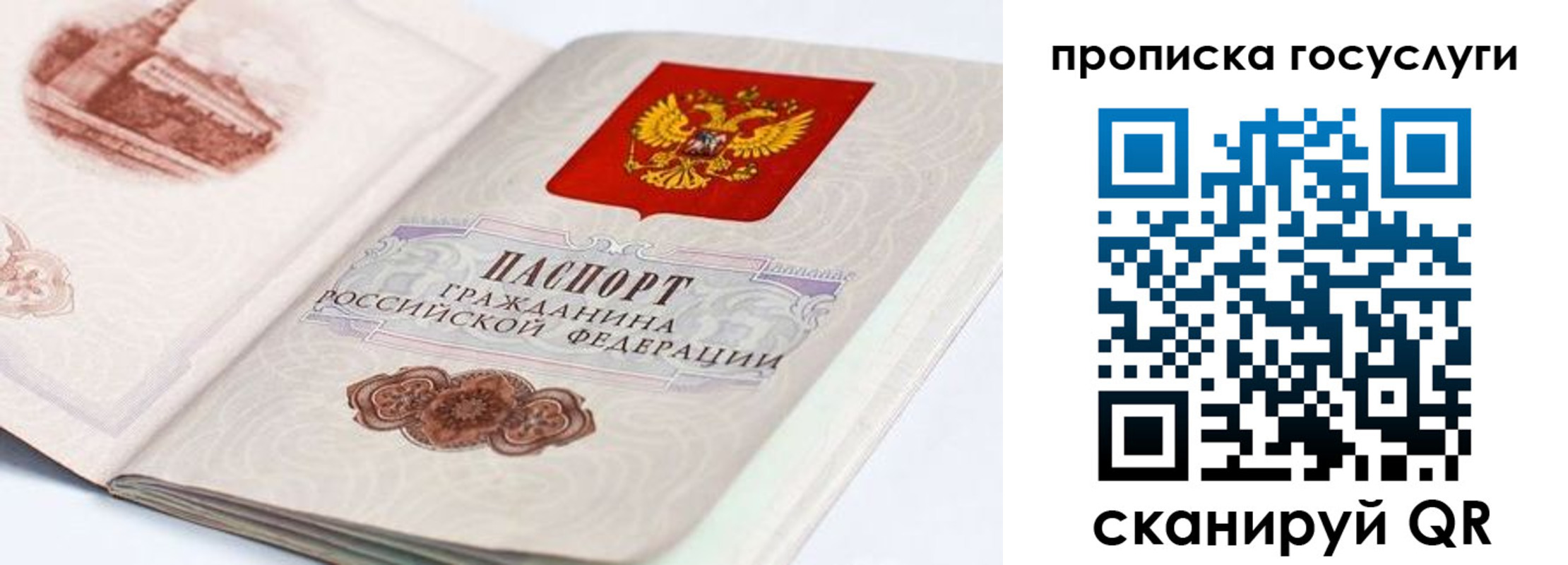 прописка регистрация в Высоковске